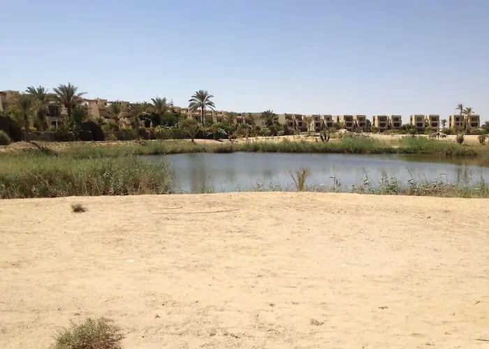 Palm Compound * Ain Suchna