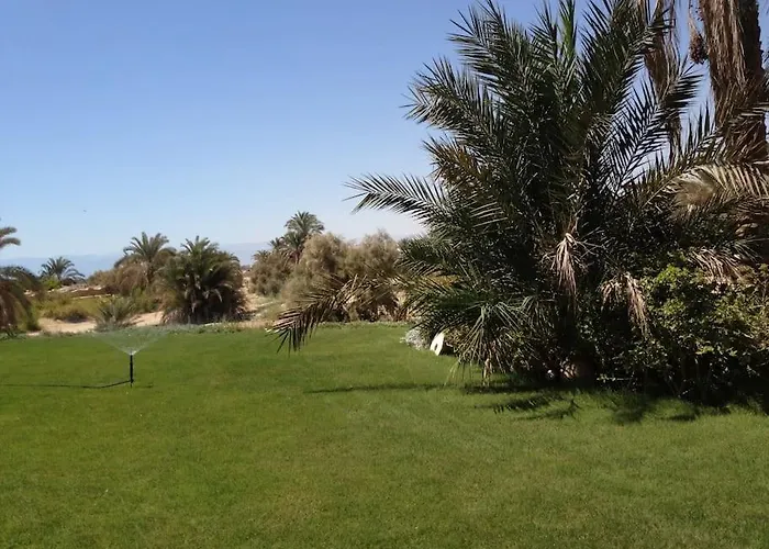 Villa Palm Compound Ain Suchna